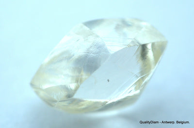 1.71 Carat beautiful diamond mackle out from diamond mine - a gem diamond