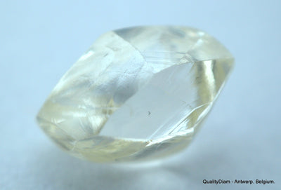 1.71 Carat beautiful diamond mackle out from diamond mine - a gem diamond