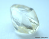 1.71 Carat beautiful diamond mackle out from diamond mine - a gem diamond
