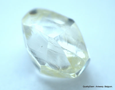 1.71 Carat beautiful diamond mackle out from diamond mine - a gem diamond