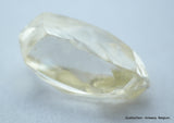 1.66 Carat beautiful diamond mackle out from diamond mine - a gem diamond
