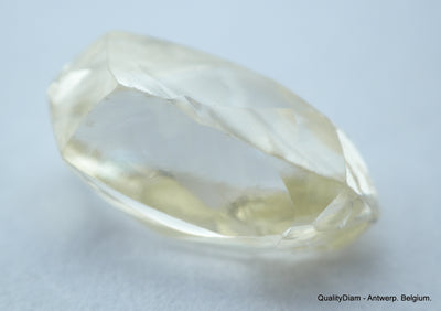 1.66 Carat beautiful diamond mackle out from diamond mine - a gem diamond