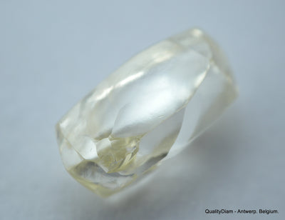 1.66 Carat beautiful diamond mackle out from diamond mine - a gem diamond