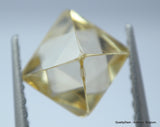 1.21 carat light fancy / warm champagne rare color natural diamond uncut diamond