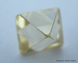 1.21 carat light fancy / warm champagne rare color natural diamond uncut diamond