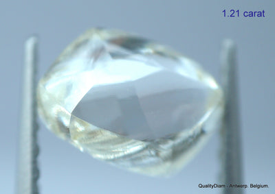 2.40 Carats I VS1 beautiful pair of natural uncut diamonds rough diamonds