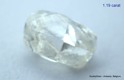 2.40 Carats I VS1 beautiful pair of natural uncut diamonds rough diamonds