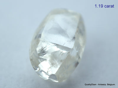 2.40 Carats I VS1 beautiful pair of natural uncut diamonds rough diamonds