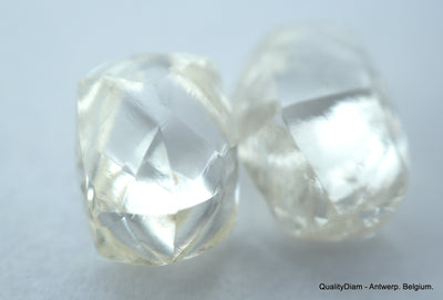 2.40 Carats I VS1 beautiful pair of natural uncut diamonds rough diamonds
