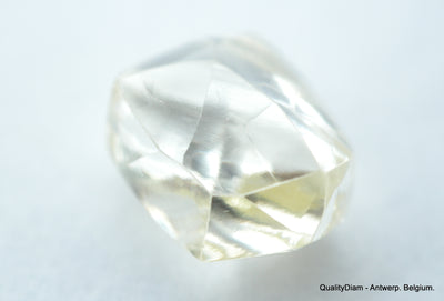 1.18 Carat beautiful diamond mackle out from diamond mine - a gem diamond