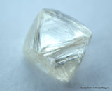 1.18 Carat clean flawless natural diamond out from diamond mine. Real Is Rare!