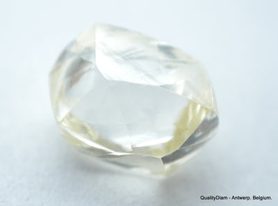 1.18 Carat beautiful diamond mackle out from diamond mine - a gem diamond
