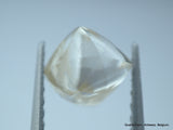 1.16 CARAT HIGH QUALITY NATURAL GEM DIAMOND UNCUT DIAMOND OUT DIAMOND MINE