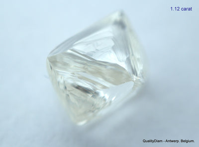 2.23 carats G VVS1 pair of natural uncut diamonds rough out from diamond mine