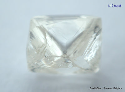 2.23 carats G VVS1 pair of natural uncut diamonds rough out from diamond mine