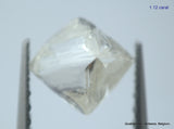2.23 carats G VVS1 pair of natural uncut diamonds rough out from diamond mine