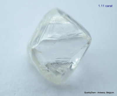 2.23 carats G VVS1 pair of natural uncut diamonds rough out from diamond mine
