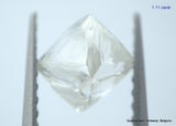 2.23 carats G VVS1 pair of natural uncut diamonds rough out from diamond mine