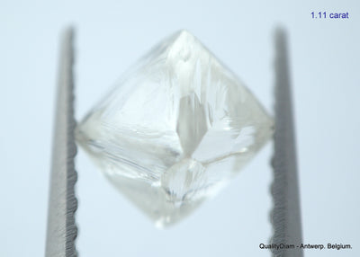2.23 carats G VVS1 pair of natural uncut diamonds rough out from diamond mine