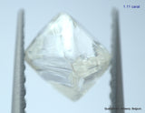 2.23 carats G VVS1 pair of natural uncut diamonds rough out from diamond mine