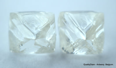 2.23 carats G VVS1 pair of natural uncut diamonds rough out from diamond mine