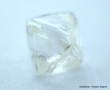 3.25 CARATS RARE WHITE PAIR OF NATURAL UNCUT DIAMONDS ROUGH OUT DIAMOND MINE
