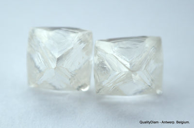 2.11 carats G VVS1 pair of natural uncut diamonds rough out from diamond mine