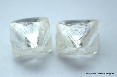 2.11 carats G VVS1 pair of natural uncut diamonds rough out from diamond mine