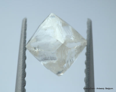 2.11 carats G VVS1 pair of natural uncut diamonds rough out from diamond mine
