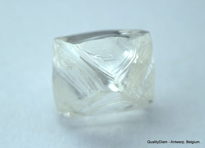 2.11 carats G VVS1 pair of natural uncut diamonds rough out from diamond mine