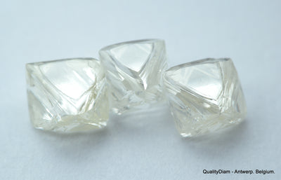 3.11 CARATS FLAWLESS COLLECTION OF NATURAL UNCUT DIAMONDS ROUGH OUT DIAMOND MINE