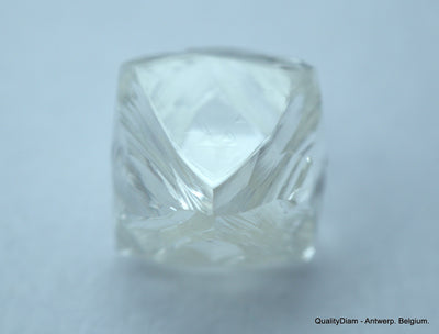 3.11 CARATS FLAWLESS COLLECTION OF NATURAL UNCUT DIAMONDS ROUGH OUT DIAMOND MINE
