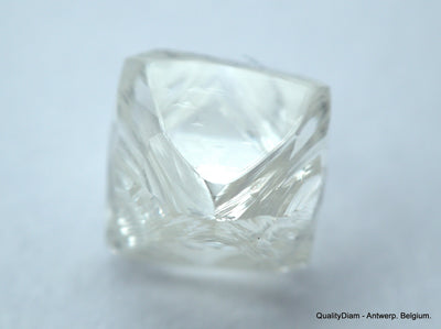 3.11 CARATS FLAWLESS COLLECTION OF NATURAL UNCUT DIAMONDS ROUGH OUT DIAMOND MINE