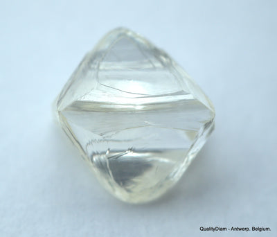 3.11 CARATS FLAWLESS COLLECTION OF NATURAL UNCUT DIAMONDS ROUGH OUT DIAMOND MINE