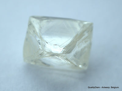 3.11 CARATS FLAWLESS COLLECTION OF NATURAL UNCUT DIAMONDS ROUGH OUT DIAMOND MINE