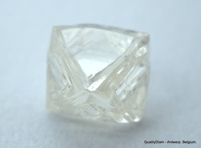 3.11 CARATS FLAWLESS COLLECTION OF NATURAL UNCUT DIAMONDS ROUGH OUT DIAMOND MINE