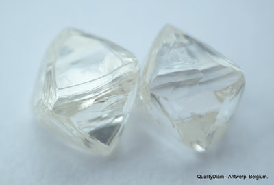 2.01 carats H VVS1 pair of natural uncut diamonds rough out from diamond mine