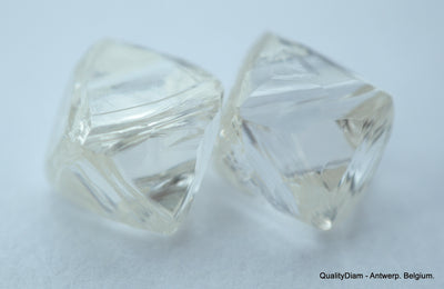 2.01 carats H VVS1 pair of natural uncut diamonds rough out from diamond mine