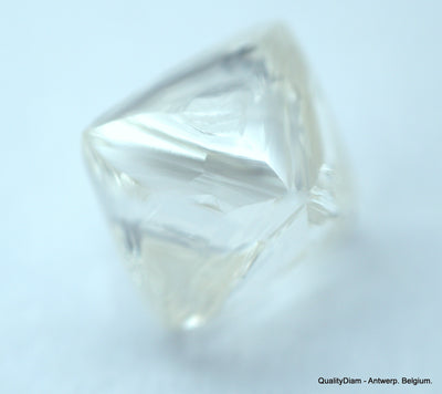 2.01 carats H VVS1 pair of natural uncut diamonds rough out from diamond mine