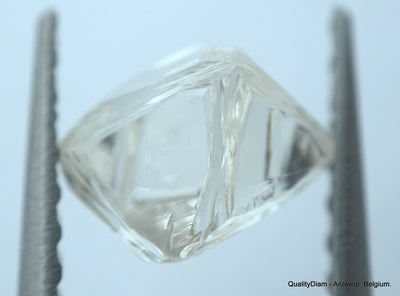 2.01 carats H VVS1 pair of natural uncut diamonds rough out from diamond mine