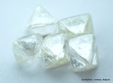 4.91 CARATS COLLECTION OF NATURAL UNCUT DIAMONDS ROUGH, OUT FROM DIAMOND MINE