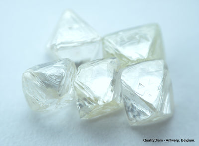 4.91 CARATS COLLECTION OF NATURAL UNCUT DIAMONDS ROUGH, OUT FROM DIAMOND MINE