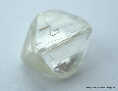 4.91 CARATS COLLECTION OF NATURAL UNCUT DIAMONDS ROUGH, OUT FROM DIAMOND MINE
