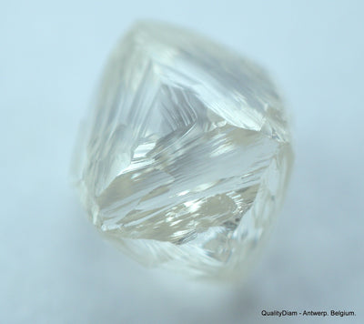 4.91 CARATS COLLECTION OF NATURAL UNCUT DIAMONDS ROUGH, OUT FROM DIAMOND MINE