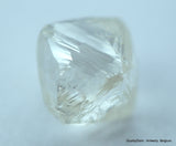 4.91 CARATS COLLECTION OF NATURAL UNCUT DIAMONDS ROUGH, OUT FROM DIAMOND MINE