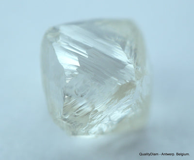 4.91 CARATS COLLECTION OF NATURAL UNCUT DIAMONDS ROUGH, OUT FROM DIAMOND MINE