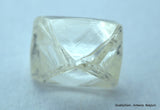 1.85 carat pair of natural uncut diamonds rough, out from diamond mine