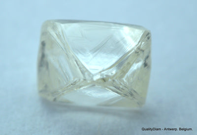 1.85 carat pair of natural uncut diamonds rough, out from diamond mine
