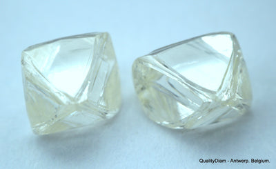 1.85 carat pair of natural uncut diamonds rough, out from diamond mine