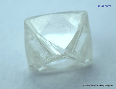 1.87 carats G VVS1 pair of natural uncut diamonds rough, out from diamond mine